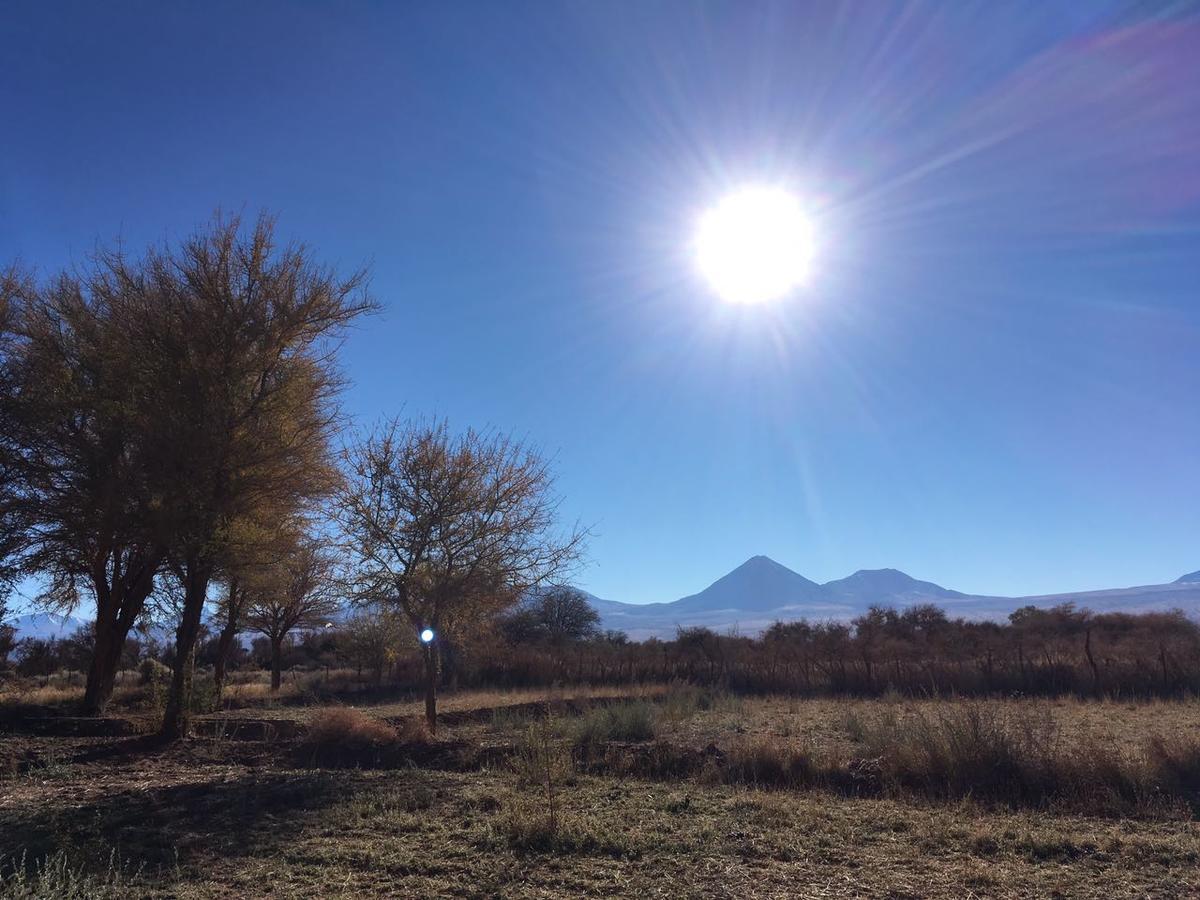 Andes Nomads Desert Camp&Lodge San Pedro de Atacama Buitenkant foto